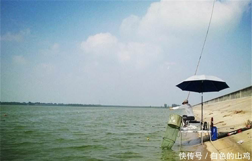 地形|夏季钓翘嘴,钓位的选择技巧,翘嘴的大小不同,喜欢的地形有差异