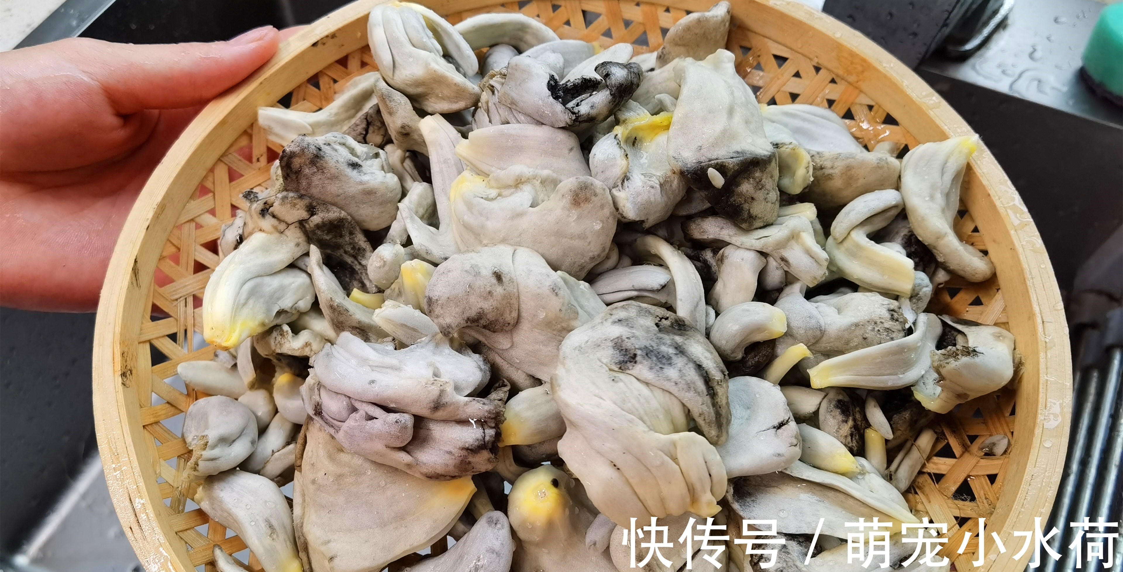 乌苠|此菜和玉米共生，农民见到就头痛，老外却拿它当美食，9美元1斤