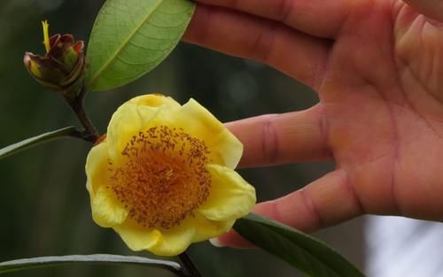 谁若见到这“东西”，请把双手放在口袋里，因为价值不允许你乱来