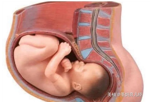不知道胎儿什么时候入盆？别担心，胎儿入盆后通常有这几个症状