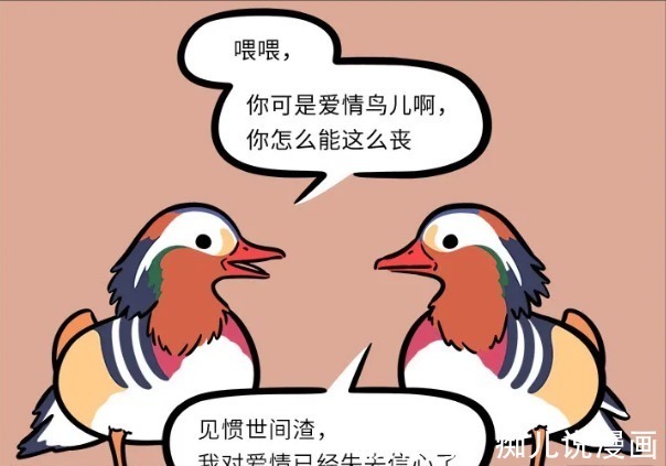 快乐时光|非人哉：这只鸳鸯看破红尘，谈恋爱的话，还不如看漫画！