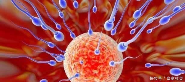 慢性合并症|女人只有6年的“黄金生育年龄”,你知道哪6年吗