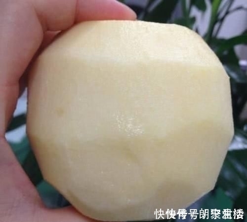 果壳|去掉果壳的水果,认出西瓜和橘子不难,图5得看20遍才能认出