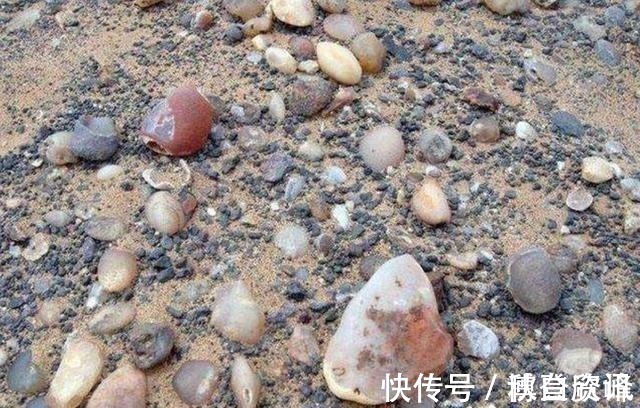 唐诗宋词&内蒙干涸湖底铺满“五彩石”,没人识货被随意捡走,3年亏20亿