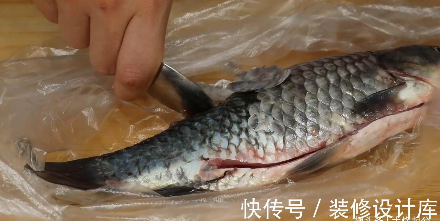 今天才知道，刮鱼鳞要加一个塑料袋，不飞溅不脏手，又快又干净