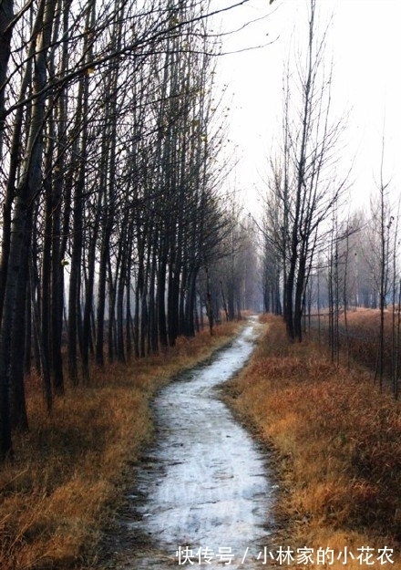 冬天#白居易笔下的冬天,美到极致,暖到极致