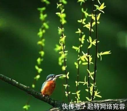 白居易$华人圈流传最广的十首唐诗，第一名情理之中意料之外