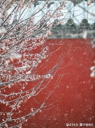 来台儿庄看雪景，感受南北文化八种风格的静美