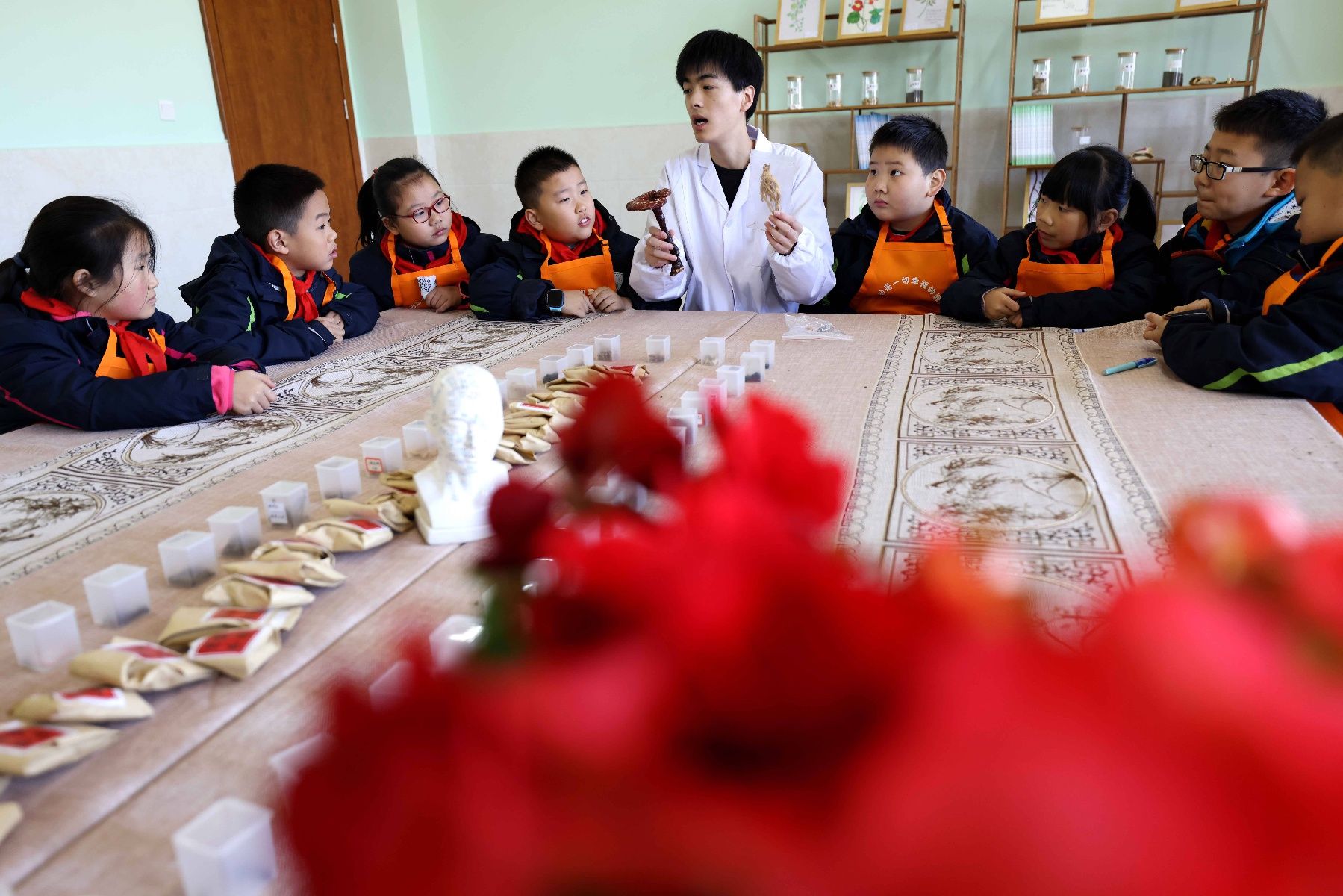 瑶海区幸福路小学|“百草园”里学习中医药知识