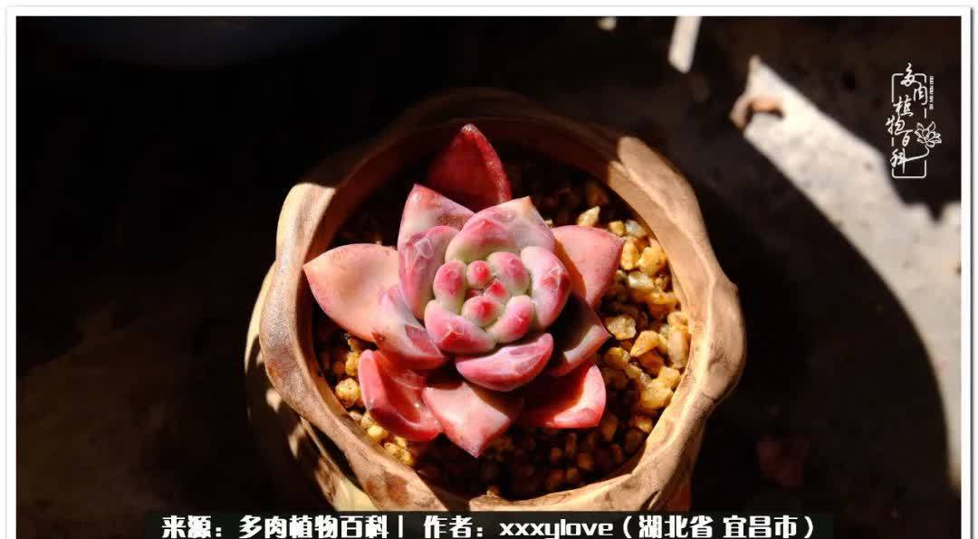 时光匆匆,一闪而逝,这世间万物的美,都值得被记录!