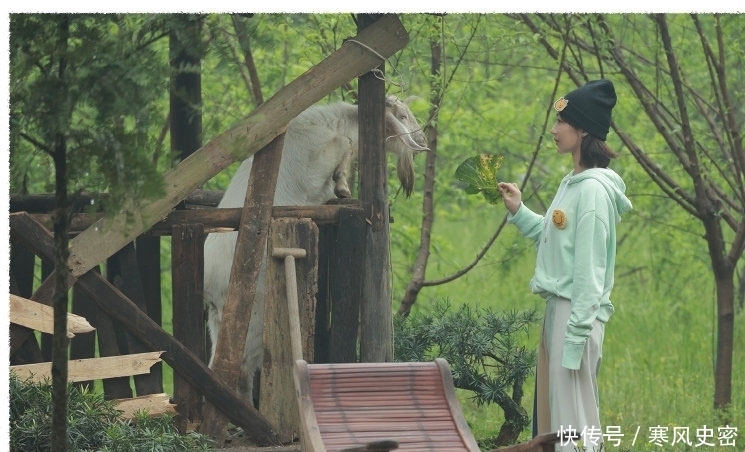 陈赫 杨紫看完奥特曼后立刻《向往的生活》,张艺兴又变成安静美男子了!