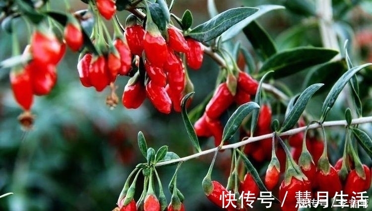 强身健体|男人晨起3个动作坚持做，让你的肾“壮”如18岁