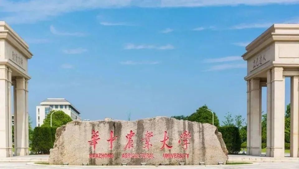 这些211工程大学分数不高就能上