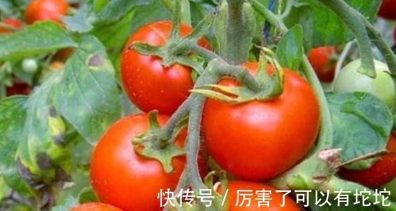 神经元|秋天为何心脑血管病高发！医生提示：预防务必注意这4点