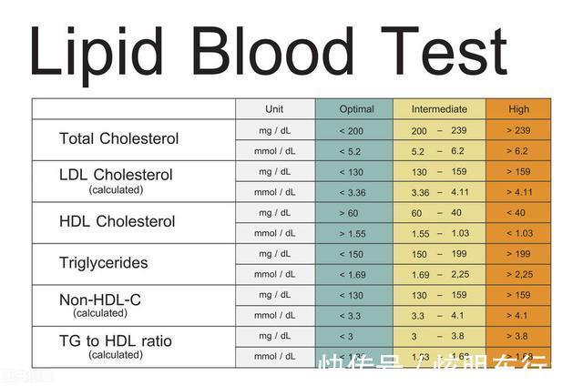 载脂蛋白|医生最关注的血脂指标是什么，血脂多少算“正常”