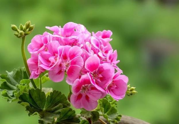 一个女人@真正聪明的女人,懂得“不闻不问”