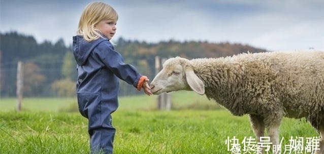 阿切氏|进化学角度来看,一块腹肌才是完美形态