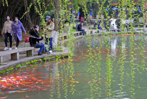 湖南，花事繁华