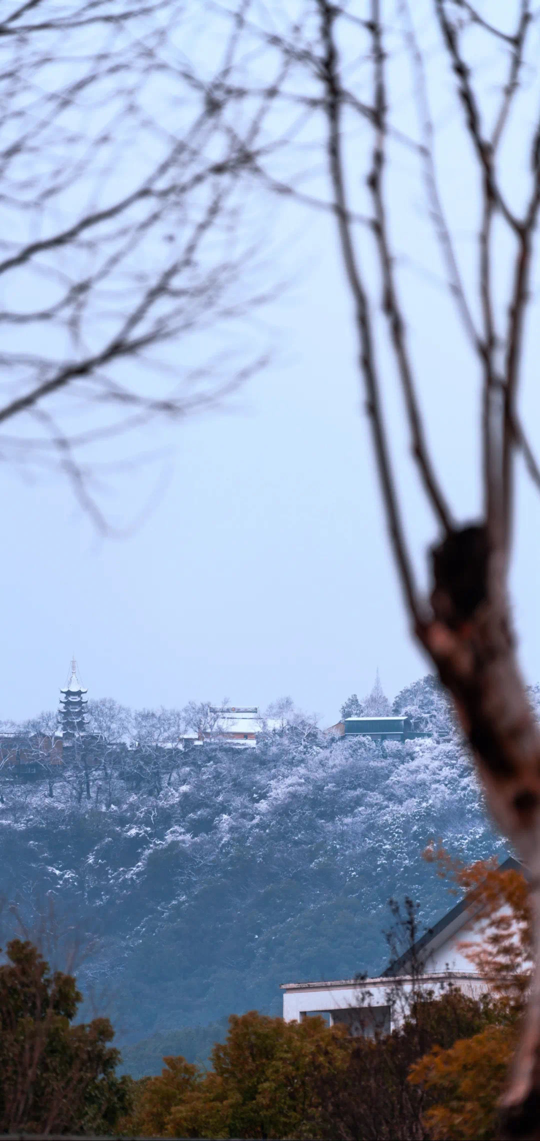 吴王夫差|都说一下雪，苏州便成了姑苏，遇见江南的绝美容颜