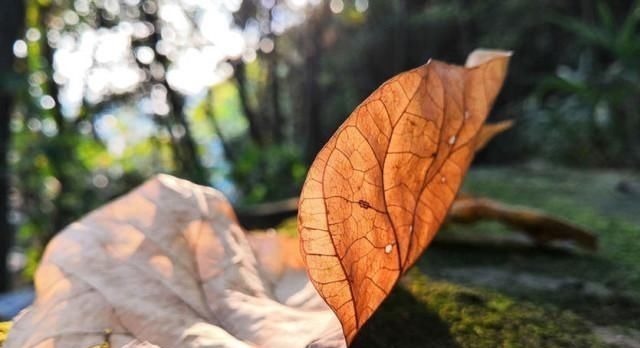 运势|财神爷点名，下半年运势高昂，大喜天降，赚大钱水到渠成的3生肖