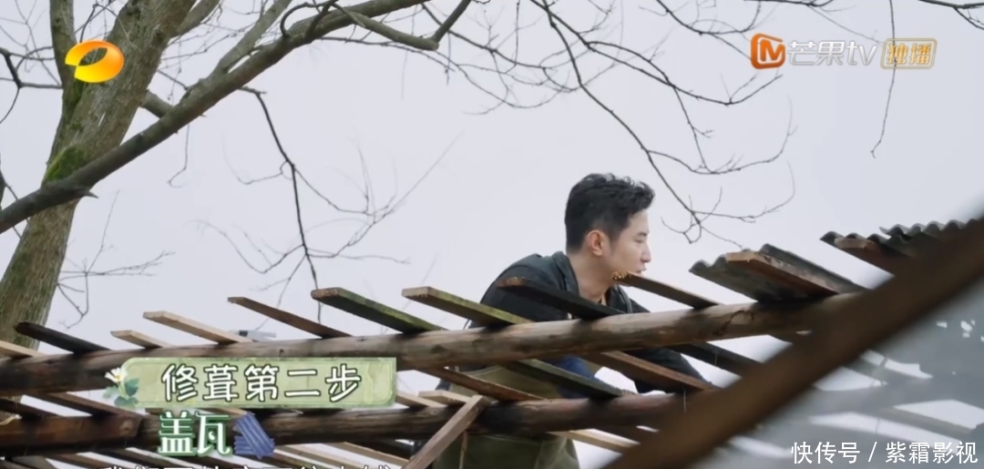 张艺兴首次成常驻嘉宾,《向往的生活5》凭啥成慢综艺“独苗”?