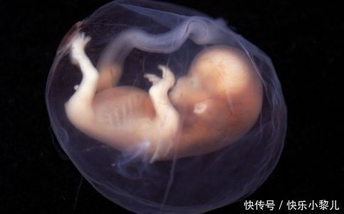 胎宝|胎儿也有发育“黄金期”?在这个月长得最快,孕妈妈别弄错了