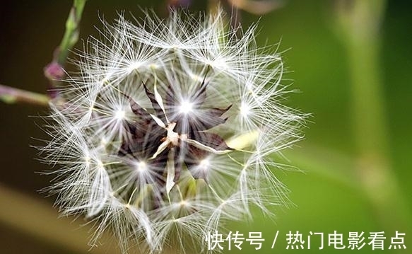 隔离感|生性凉薄，却会爱你如命的4星座，余生只会暖你一人