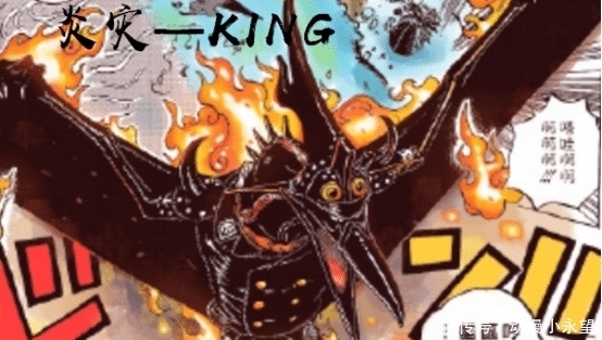 骄傲|海贼王:火灾KING三十年前经历曝光,曾是海军骄傲,崇拜凯多出走!