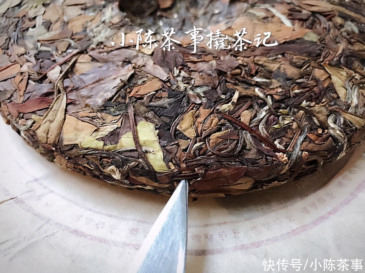 茶饼|从撬白茶饼到冲泡，村姑陈手把手教学示范，收藏了