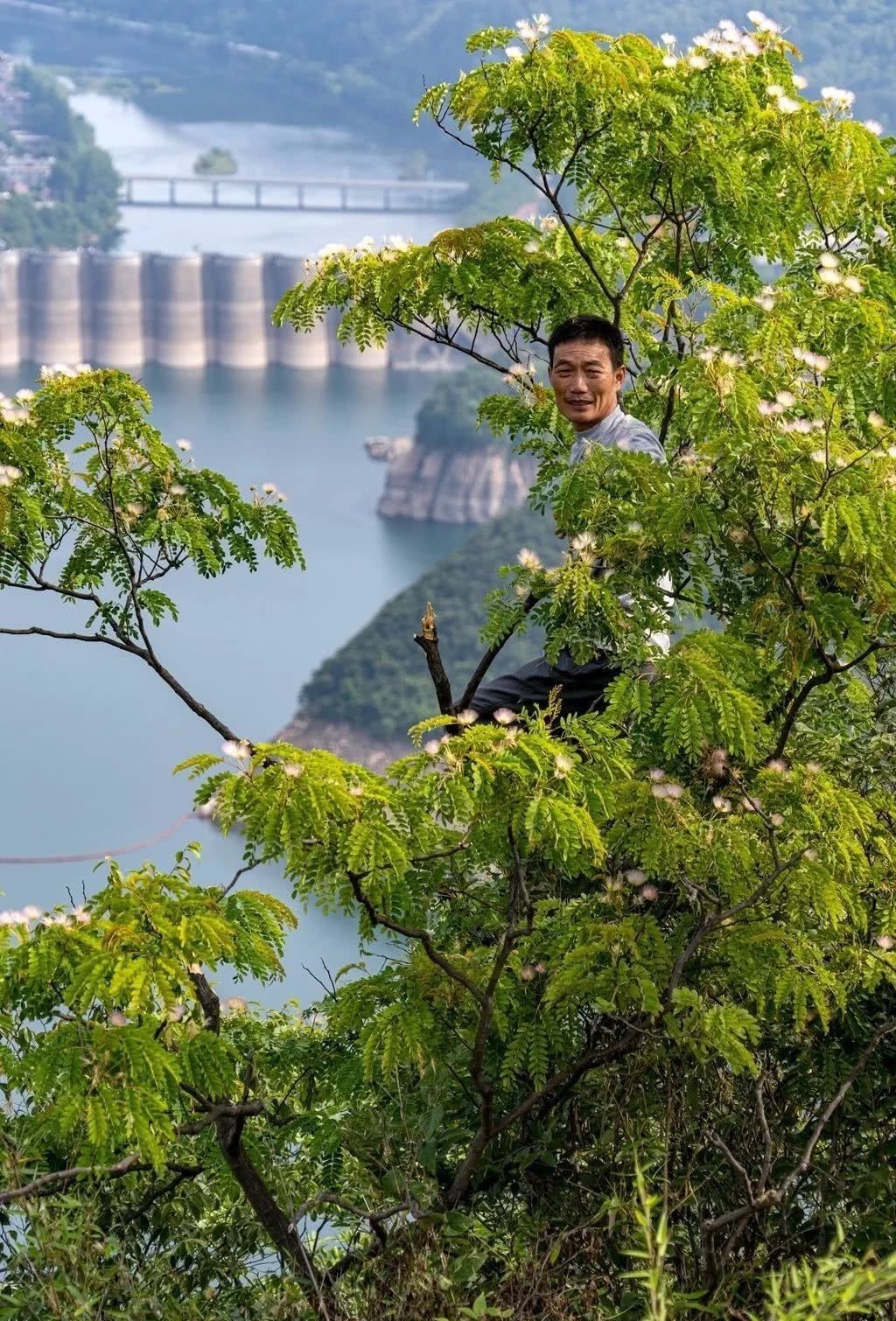 中年|金寨千年古寨，能一览无余的看梅山！