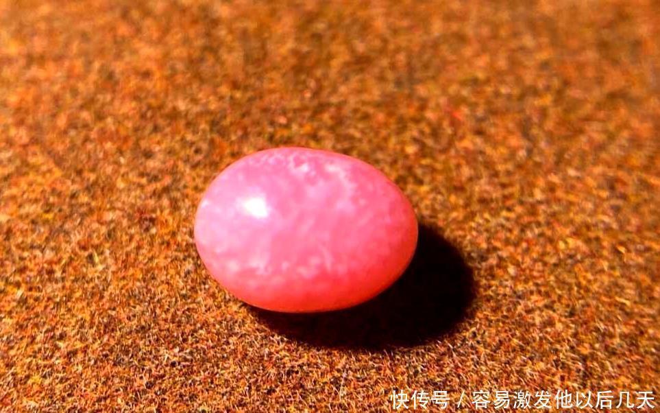 海螺|自然界行走的“彩票”,“吃”出一颗堪比中大奖!
