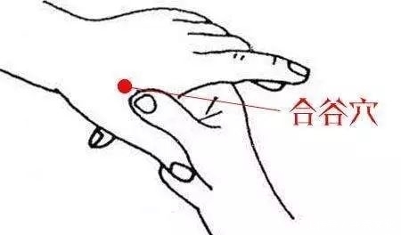 心、脑、脾胃养护,长按这三个穴位身体健康不易病