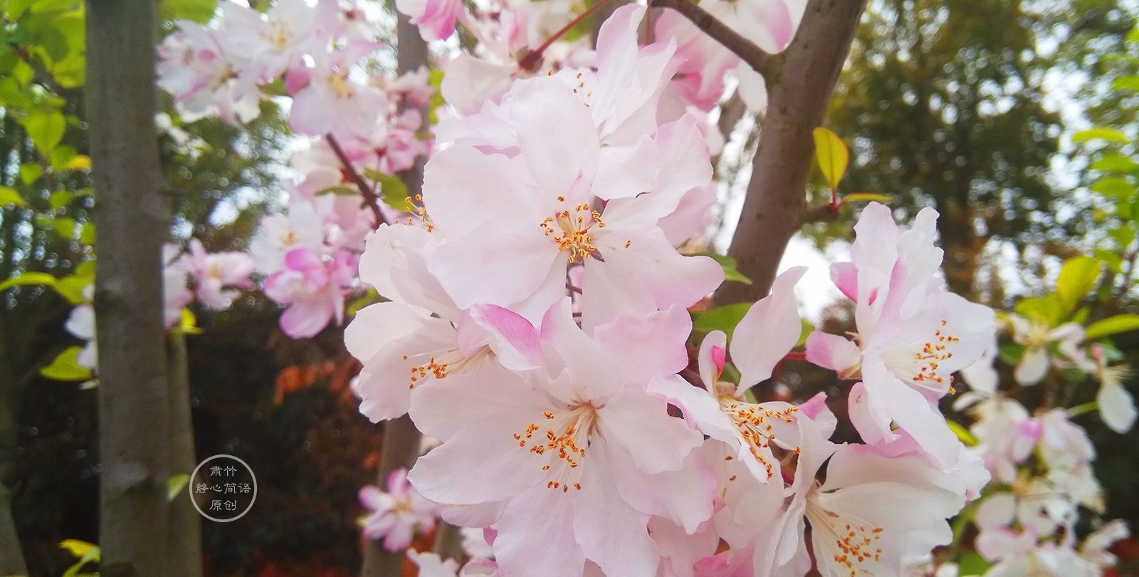 因为热爱，再平淡的生活都那么值得珍惜