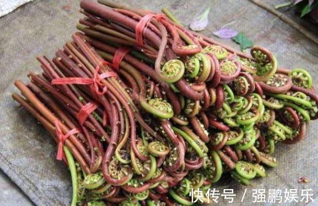 红凤菜|以下五大野菜不建议过量食用，少吃不可贪嘴，有人居然一点不知道