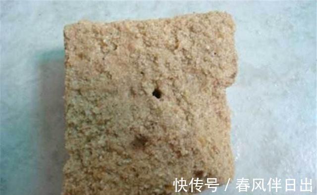 饵料|大河向东流哇，夏季活水出大鱼呀！野钓活水河流，要注意这些讲究