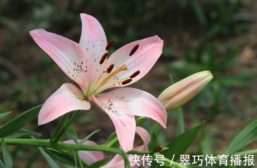 行动派|“把老婆当宝贝的”3大生肖男,对妻子很疼爱,女人要了解