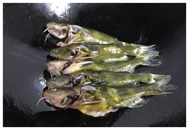 晚餐的这鱼汤孩子最爱，三天二头就要吃，每次汤都喝精光