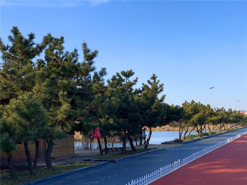 日照旅游万平口和森林公园哪个好，各有优势可看这篇文章根据喜好选择