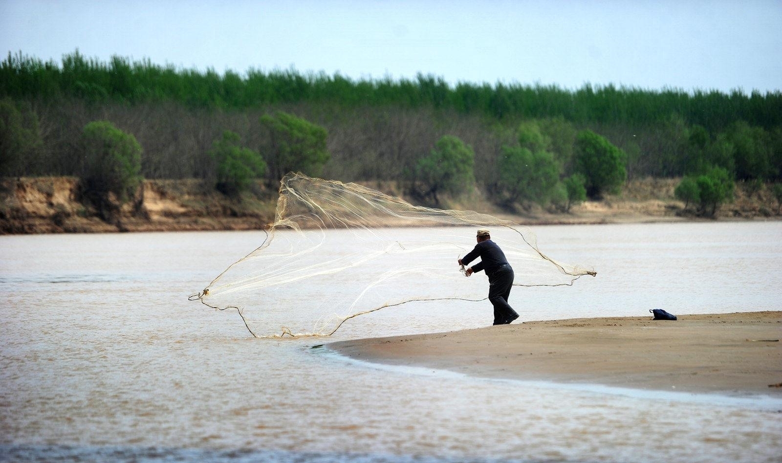 黄河鱼的秘密:跃龙门的不是鲤鱼,是谁?谁当了数百年的宫廷鱼?