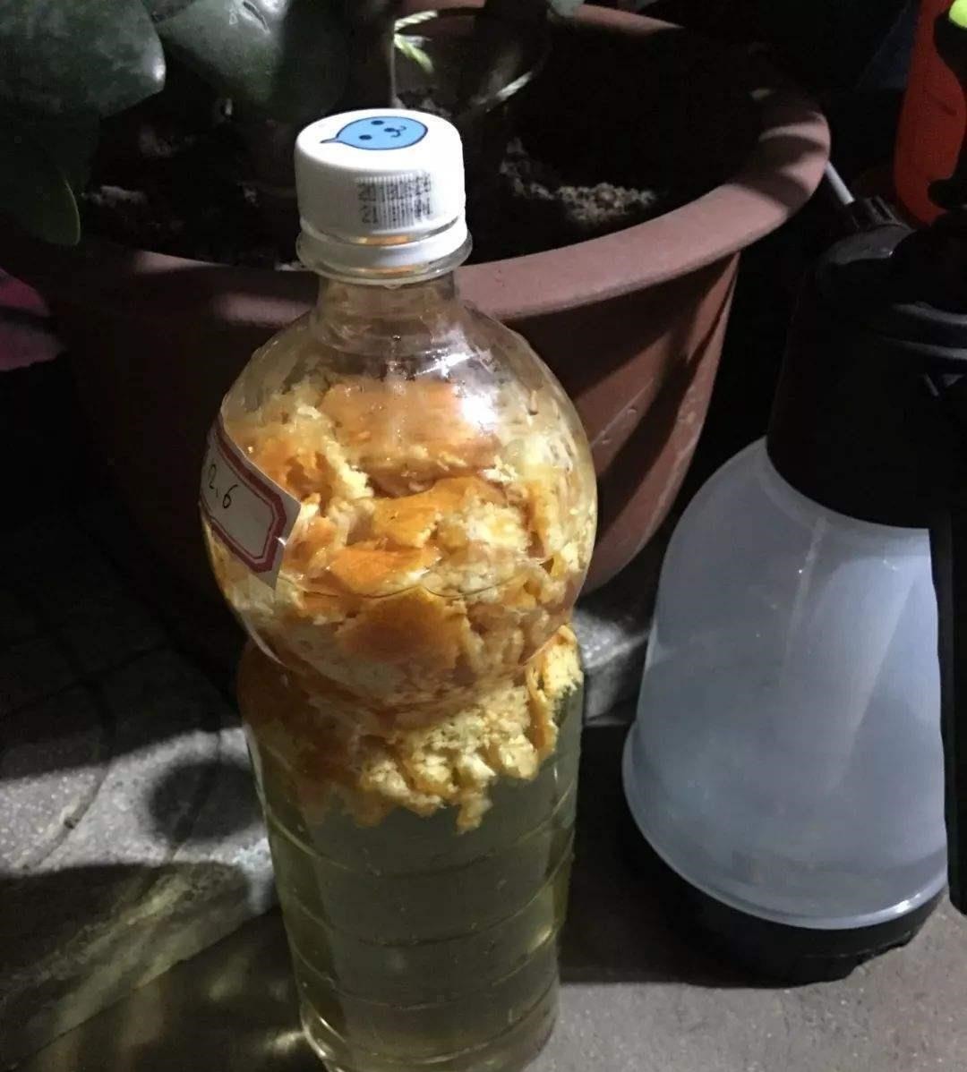 肥料|家里有这3种东西不要扔,你以为是垃圾,可它们是植物最好的肥料