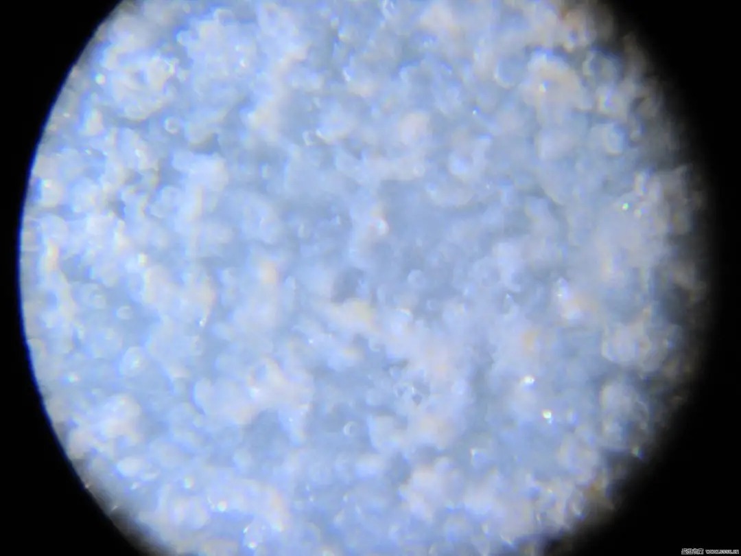 官窑|马未都:告诉你宋官窑鉴定六大要素,分析得真透彻