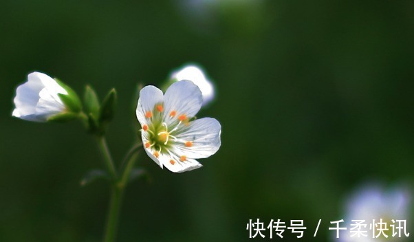 方达|人的命运中有3条天规，顺应则天送鸿运，财富多多！