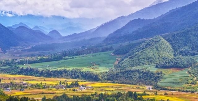 采茶|「国家AAA级景区」腾冲马站高山乌龙茶景区