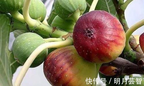 排毒|女性不想被喊黄脸婆,3种食物经常吃,排毒清肠,延缓衰老