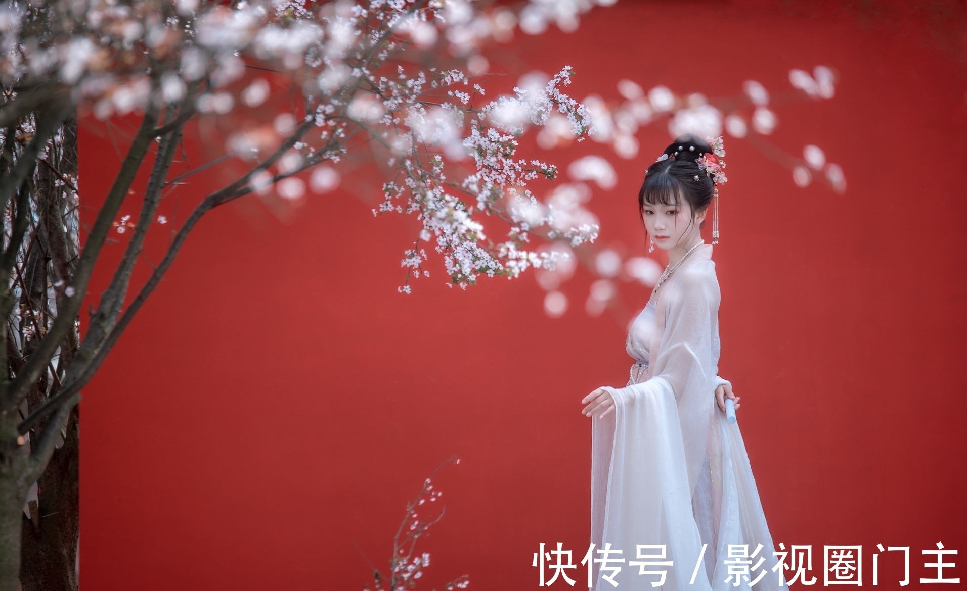 桃杏|庆春时·词:轻烟漠漠,离情杳杳,听尽杜鹃啼