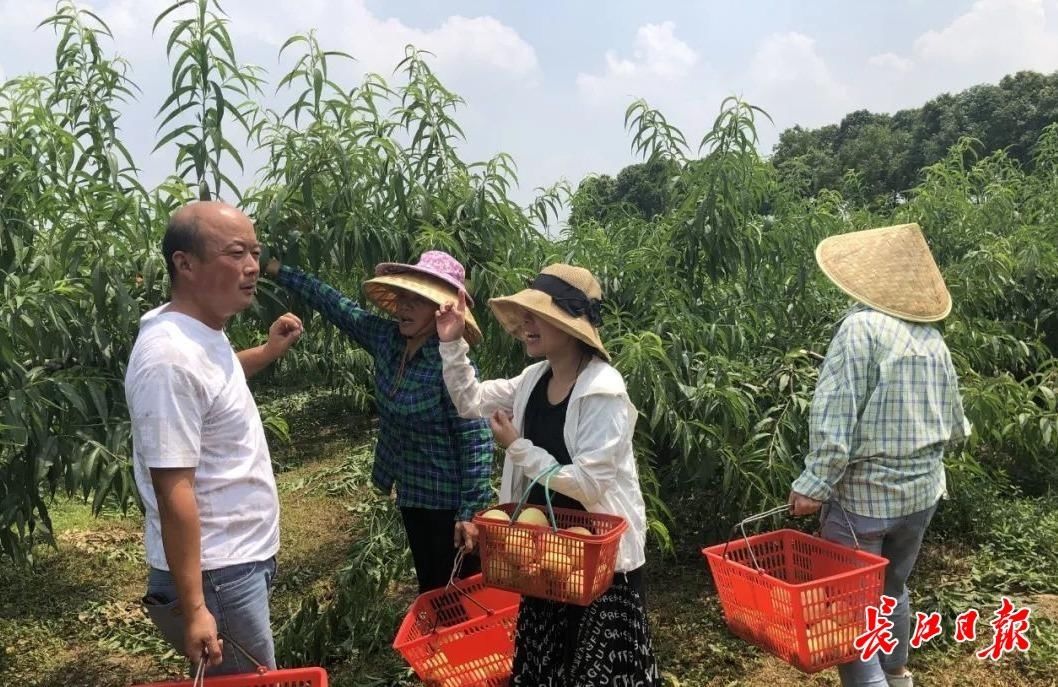 中国医生|早安武汉︱昨夜，600架无人机在长江上震撼致敬！