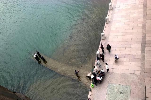 真气人野河打了重窝钓鱼,刚开始连杆别人把竿子抛进你窝里