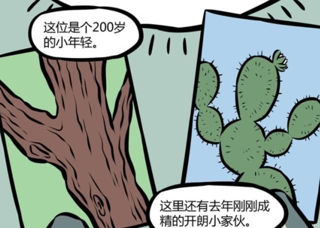 对象|非人哉：青龙给敖烈介绍的对象不靠谱，作为龙不会游泳？