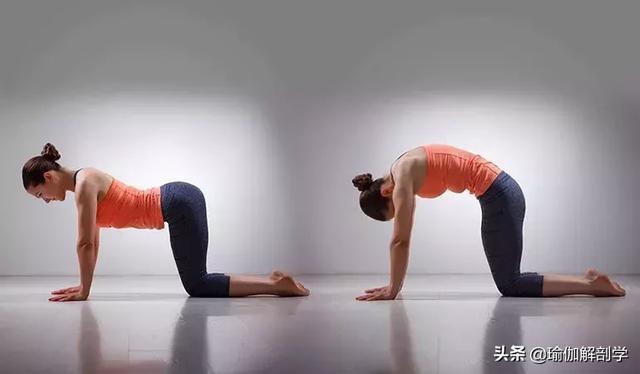 脊柱|每天晨起练这8个动作,让你一整天都元气满满