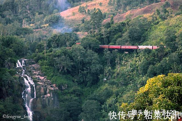 铁路|斯里兰卡高山茶园火车 速度比汽车还慢 挂火车成为一种时尚